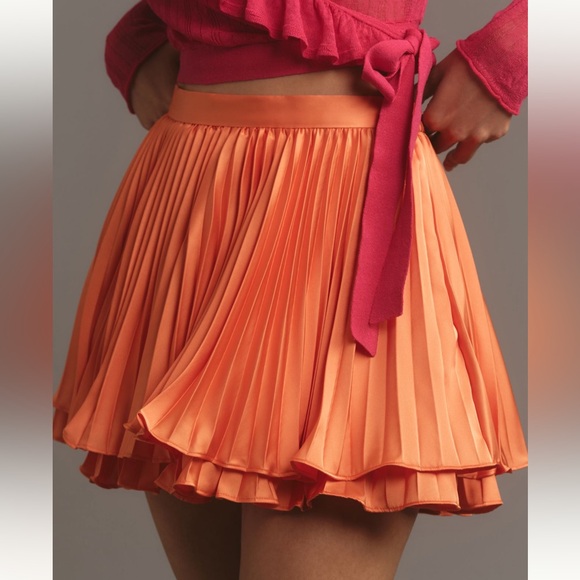 Anthropologie Dresses & Skirts - Anthropologie Hutch Pleated Skort